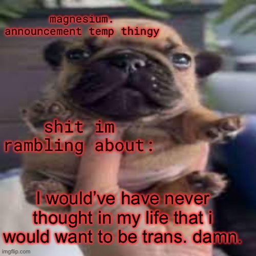 pug temp | I would’ve have never thought in my life that i would want to be trans. damn. | image tagged in pug temp | made w/ Imgflip meme maker