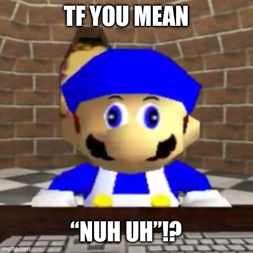 Smg4 derp | TF YOU MEAN “NUH UH”!? | image tagged in smg4 derp | made w/ Imgflip meme maker