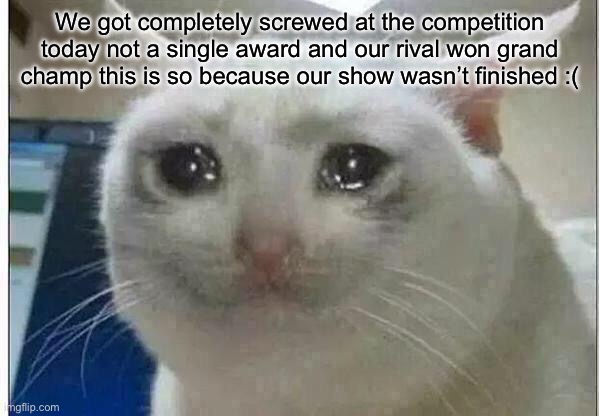 crying cat | We got completely screwed at the competition today not a single award and our rival won grand champ this is so because our show wasn’t finished :( | image tagged in crying cat | made w/ Imgflip meme maker