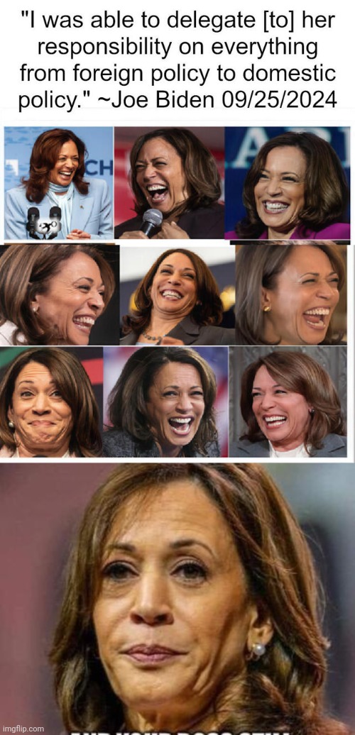 Delegated to Hobama Harris | image tagged in kamala harris | made w/ Imgflip meme maker