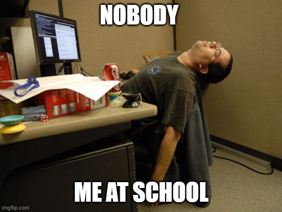 Sleeping Work | NOBODY; ME AT SCHOOL | image tagged in sleeping work | made w/ Imgflip meme maker