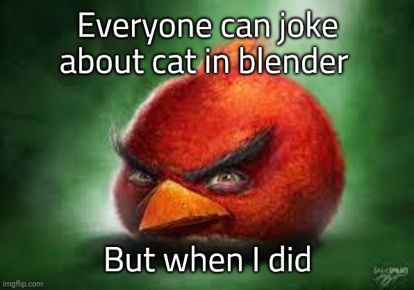 Mfs cancelled me fr | Everyone can joke about cat in blender; But when I did | image tagged in realistic red angry birds | made w/ Imgflip meme maker