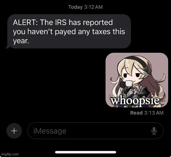 IRS report | whoopsie | image tagged in irs report | made w/ Imgflip meme maker