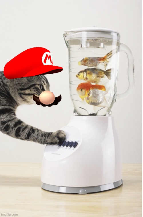 Mario blender cat | image tagged in blender cat | made w/ Imgflip meme maker