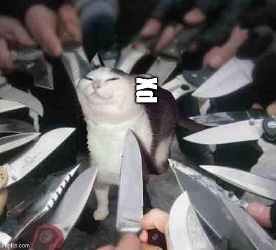 Knife Cat | Xd | image tagged in knife cat | made w/ Imgflip meme maker