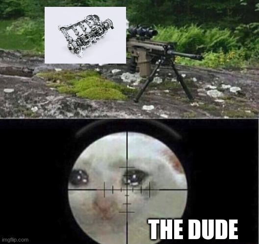 Sniper cat | THE DUDE | image tagged in sniper cat | made w/ Imgflip meme maker