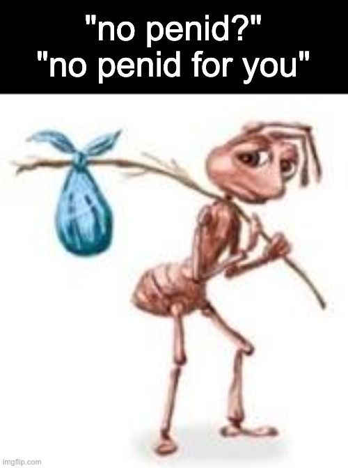 aw man | "no penid?"
"no penid for you" | image tagged in sad ant with bindle | made w/ Imgflip meme maker