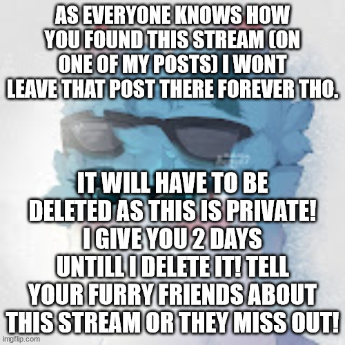 OwO | AS EVERYONE KNOWS HOW YOU FOUND THIS STREAM (ON ONE OF MY POSTS) I WONT LEAVE THAT POST THERE FOREVER THO. IT WILL HAVE TO BE DELETED AS THIS IS PRIVATE! I GIVE YOU 2 DAYS UNTILL I DELETE IT! TELL YOUR FURRY FRIENDS ABOUT THIS STREAM OR THEY MISS OUT! | image tagged in meow | made w/ Imgflip meme maker