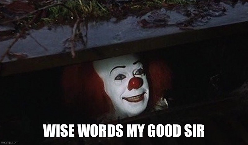 Pennywise Hey Kid | WISE WORDS MY GOOD SIR | image tagged in pennywise hey kid | made w/ Imgflip meme maker