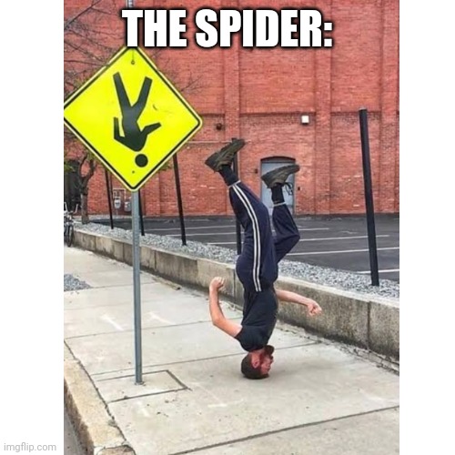 Blank Transparent Square Meme | THE SPIDER: | image tagged in memes,blank transparent square | made w/ Imgflip meme maker