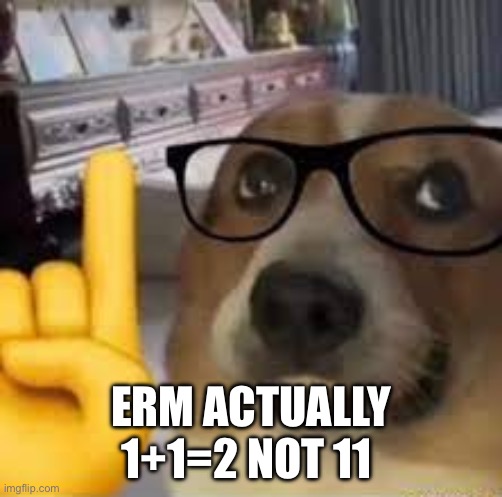 nerd dog | ERM ACTUALLY 1+1=2 NOT 11 | image tagged in nerd dog | made w/ Imgflip meme maker