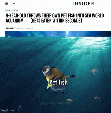 Animated GIF - Imgflip