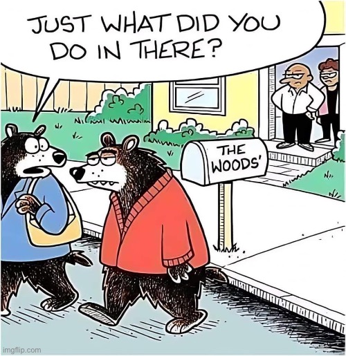 Well, they had to ask | image tagged in bear,confession bear,woods,shitpost | made w/ Imgflip meme maker