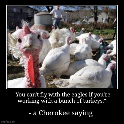 I always thought of this when forced to do a group project in school. | "You can't fly with the eagles if you're
working with a bunch of turkeys." | - a Cherokee saying | image tagged in funny,demotivationals,worthless,co-workers,birds,words of wisdom | made w/ Imgflip demotivational maker