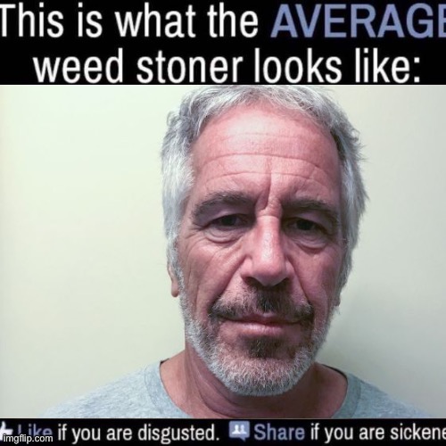 I feel obligated to post right now for no particular reason | image tagged in what the average weed stoner looks like add your own image | made w/ Imgflip meme maker