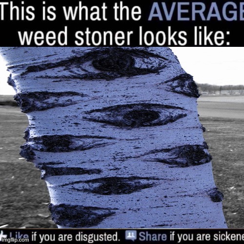 The tree observes | image tagged in what the average weed stoner looks like add your own image | made w/ Imgflip meme maker