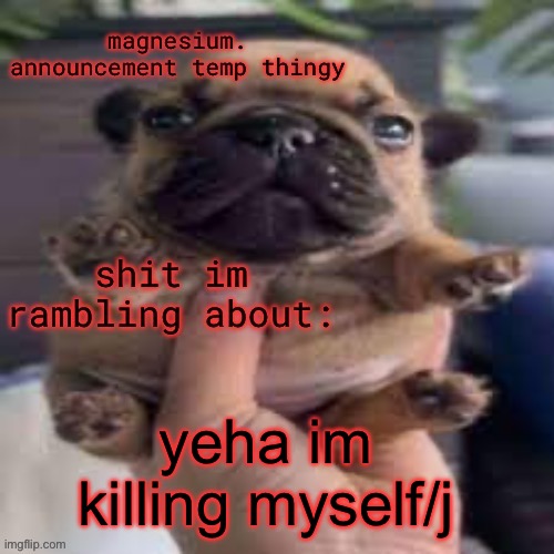 why tf did my face rotate back here | yeha im killing myself/j | image tagged in pug temp | made w/ Imgflip meme maker