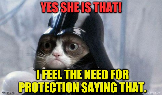 Grumpy Cat Star Wars Meme | YES SHE IS THAT! I FEEL THE NEED FOR PROTECTION SAYING THAT. | image tagged in memes,grumpy cat star wars,grumpy cat | made w/ Imgflip meme maker