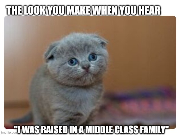 THE LOOK YOU MAKE WHEN YOU HEAR; "I WAS RAISED IN A MIDDLE CLASS FAMILY" | image tagged in cute cat | made w/ Imgflip meme maker