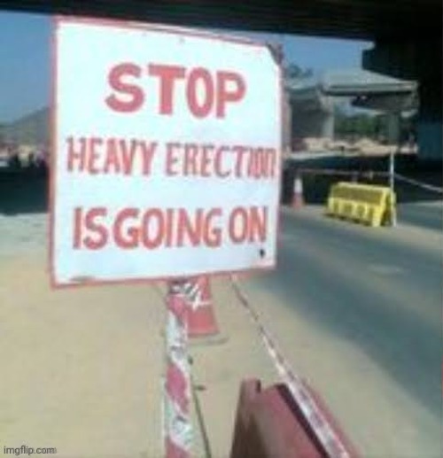 Stop Heavy Erection Is Going On | image tagged in stop heavy erection is going on | made w/ Imgflip meme maker