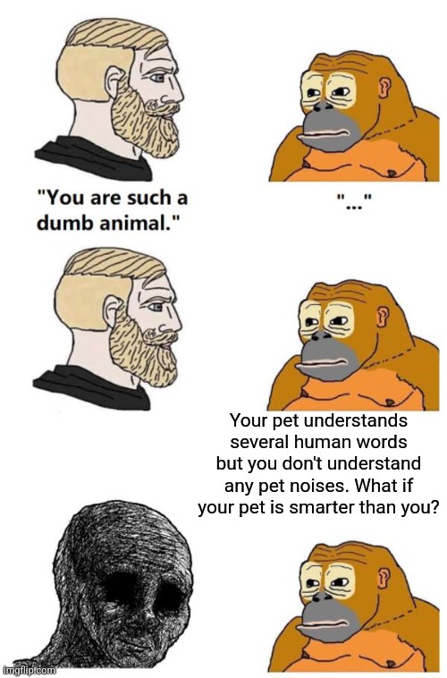 A shower thought... | Your pet understands several human words but you don't understand any pet noises. What if your pet is smarter than you? | image tagged in you're a stupid animal,shower thoughts,pets,communication | made w/ Imgflip meme maker