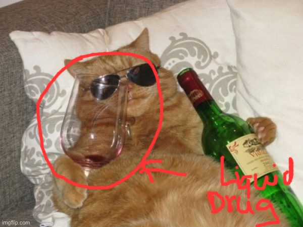 Wine Cat Birthday | image tagged in wine cat birthday | made w/ Imgflip meme maker