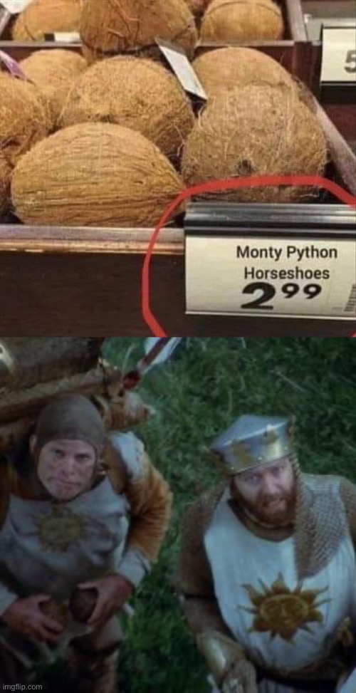 Monty Python meme | image tagged in monty python coconuts,coconut,horse,you had one job | made w/ Imgflip meme maker