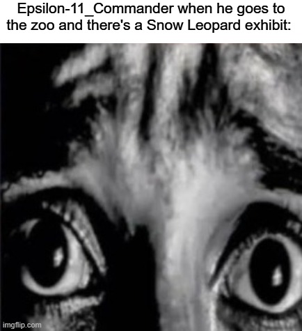 mfw when the fog finally arrives lmao | Epsilon-11_Commander when he goes to the zoo and there's a Snow Leopard exhibit: | image tagged in mfw when the fog finally arrives lmao | made w/ Imgflip meme maker
