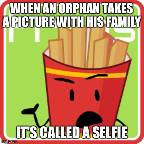 FriesBFDI. fanmade voting icon | WHEN AN ORPHAN TAKES A PICTURE WITH HIS FAMILY; IT'S CALLED A SELFIE | image tagged in friesbfdi fanmade voting icon | made w/ Imgflip meme maker