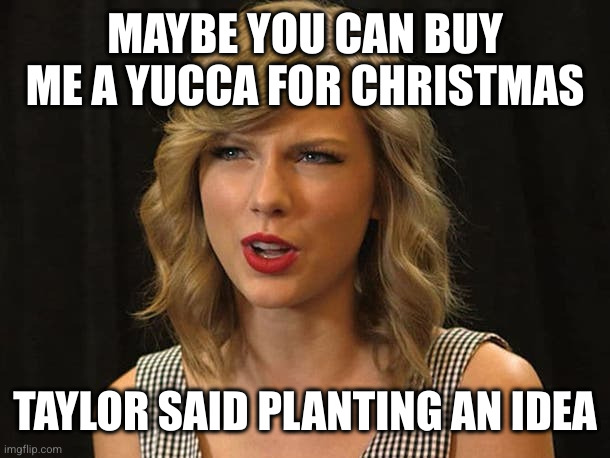 Taylor Swiftie | MAYBE YOU CAN BUY ME A YUCCA FOR CHRISTMAS TAYLOR SAID PLANTING AN IDEA | image tagged in taylor swiftie | made w/ Imgflip meme maker