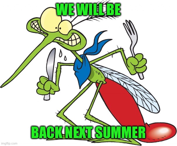 Parkhill mosquito | WE WILL BE BACK NEXT SUMMER | image tagged in parkhill mosquito | made w/ Imgflip meme maker