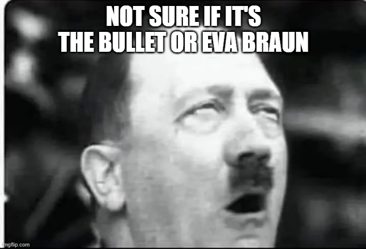 Der Furher Face | NOT SURE IF IT'S THE BULLET OR EVA BRAUN | image tagged in dark humor | made w/ Imgflip meme maker