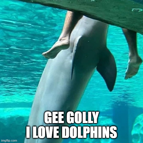 Dolphin Love | GEE GOLLY I LOVE DOLPHINS | image tagged in sex jokes | made w/ Imgflip meme maker