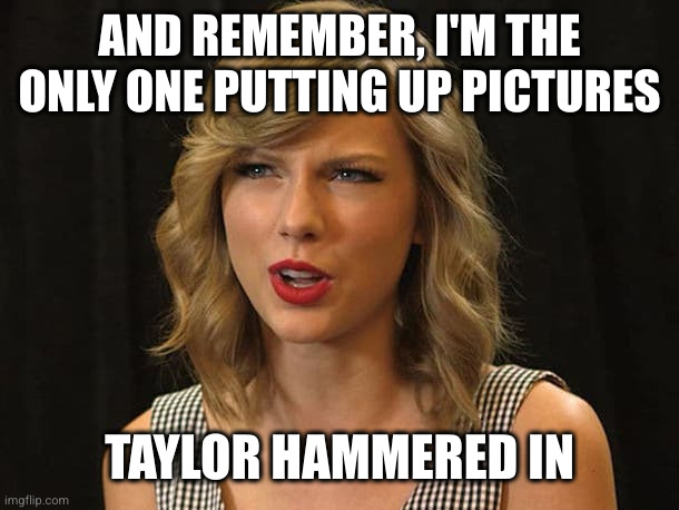 Taylor Swiftie | AND REMEMBER, I'M THE ONLY ONE PUTTING UP PICTURES TAYLOR HAMMERED IN | image tagged in taylor swiftie | made w/ Imgflip meme maker