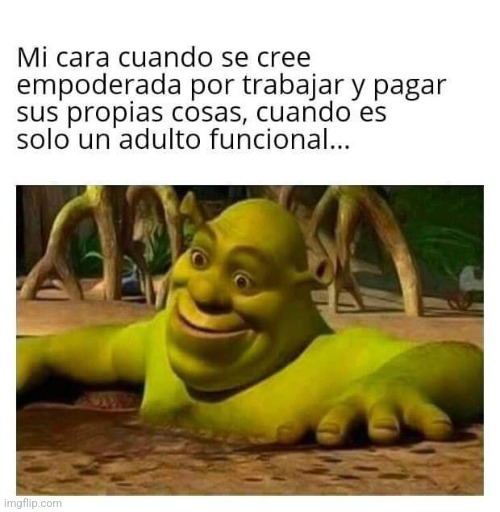 951tey.jpg