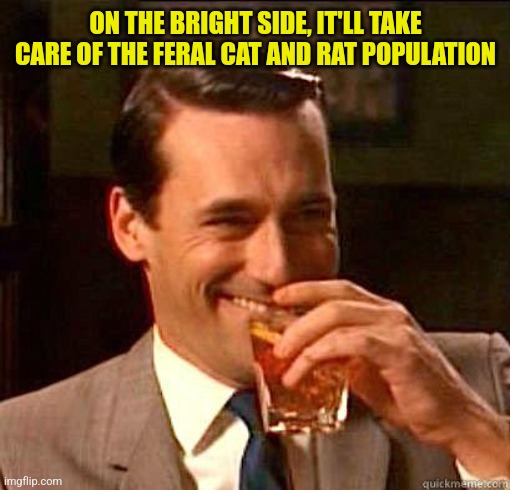 Laughing Don Draper | ON THE BRIGHT SIDE, IT'LL TAKE CARE OF THE FERAL CAT AND RAT POPULATION | image tagged in laughing don draper | made w/ Imgflip meme maker