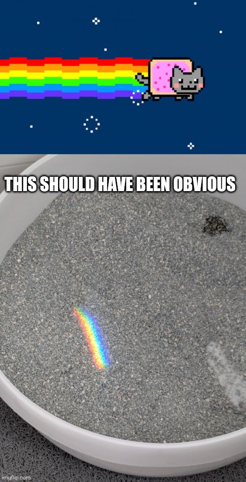 Rainbow poop | THIS SHOULD HAVE BEEN OBVIOUS | image tagged in nyan cat | made w/ Imgflip meme maker