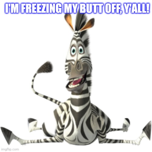 Marty Zebra | I'M FREEZING MY BUTT OFF, Y'ALL! | image tagged in marty zebra | made w/ Imgflip meme maker