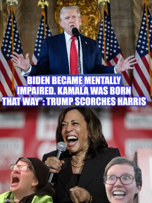 Donald Trump | BIDEN BECAME MENTALLY IMPAIRED. KAMALA WAS BORN THAT WAY”: TRUMP SCORCHES HARRIS | image tagged in kamala harris | made w/ Imgflip meme maker