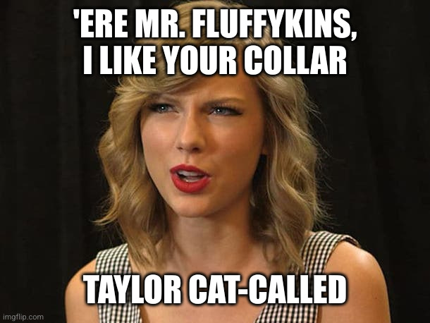 Taylor Swiftie | 'ERE MR. FLUFFYKINS, I LIKE YOUR COLLAR TAYLOR CAT-CALLED | image tagged in taylor swiftie | made w/ Imgflip meme maker