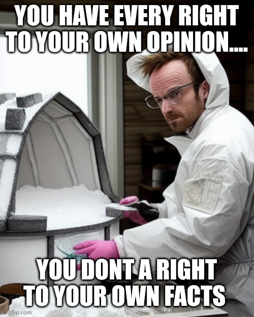 Think about it | YOU HAVE EVERY RIGHT TO YOUR OWN OPINION.... YOU DONT A RIGHT TO YOUR OWN FACTS | image tagged in snowcones | made w/ Imgflip meme maker