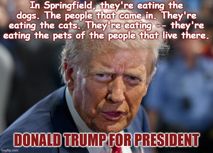 Donald Trump is getting old and a little crazy | In Springfield, they're eating the dogs. The people that came in. They're eating the cats. They're eating -- they're eating the pets of the people that live there. DONALD TRUMP FOR PRESIDENT | image tagged in dementia,republican,cognitive issues,elderly,mental illness | made w/ Imgflip meme maker