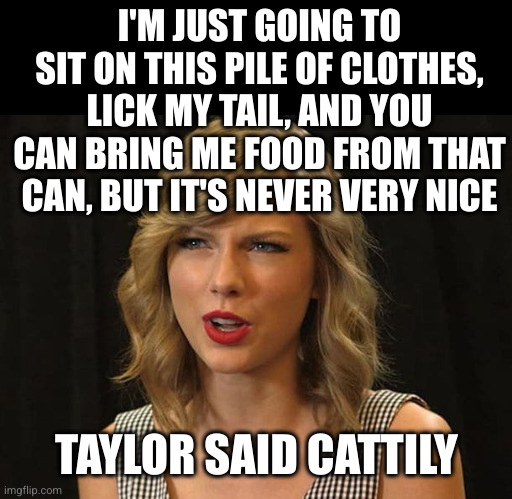 Taylor Swiftie | I'M JUST GOING TO SIT ON THIS PILE OF CLOTHES, LICK MY TAIL, AND YOU CAN BRING ME FOOD FROM THAT CAN, BUT IT'S NEVER VERY NICE TAYLOR SAID C | image tagged in taylor swiftie | made w/ Imgflip meme maker