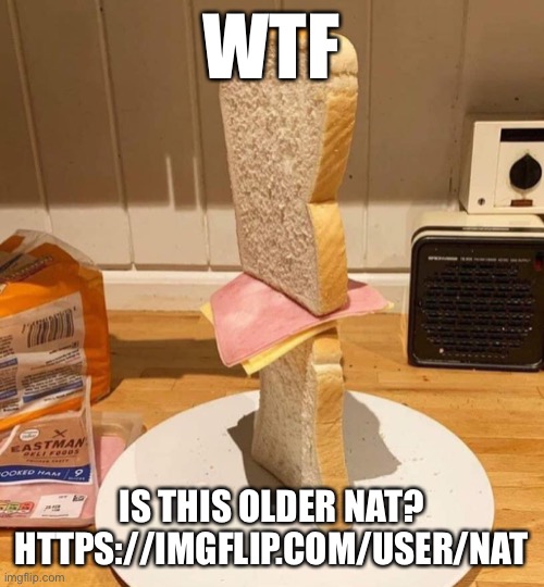 Standwich | WTF; IS THIS OLDER NAT?
HTTPS://IMGFLIP.COM/USER/NAT | image tagged in standwich | made w/ Imgflip meme maker