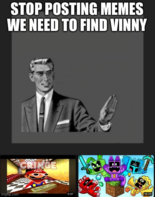 WE NEED TO FIND HIM | STOP POSTING MEMES WE NEED TO FIND VINNY | image tagged in memes | made w/ Imgflip meme maker