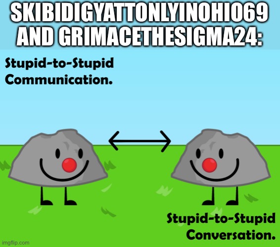 Stupid-to-Stupid Communication | SKIBIDIGYATTONLYINOHIO69 AND GRIMACETHESIGMA24: | image tagged in stupid-to-stupid communication | made w/ Imgflip meme maker