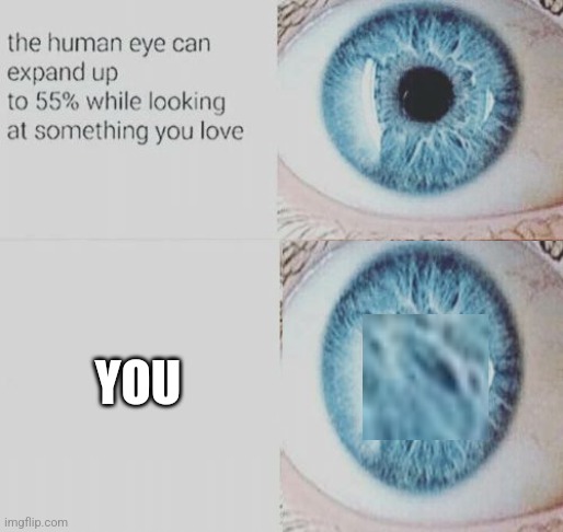 Eye pupil expand | YOU | image tagged in eye pupil expand | made w/ Imgflip meme maker