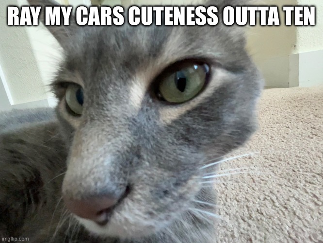 RAY MY CARS CUTENESS OUTTA TEN | made w/ Imgflip meme maker