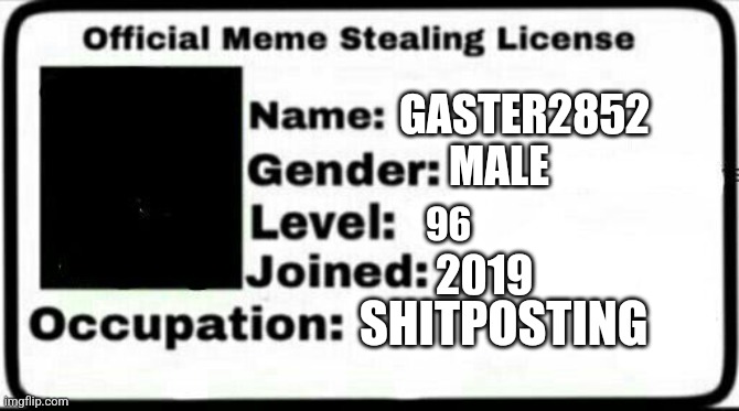 Meme Stealing License | GASTER2852 MALE 96 2019 SHITPOSTING | image tagged in meme stealing license | made w/ Imgflip meme maker
