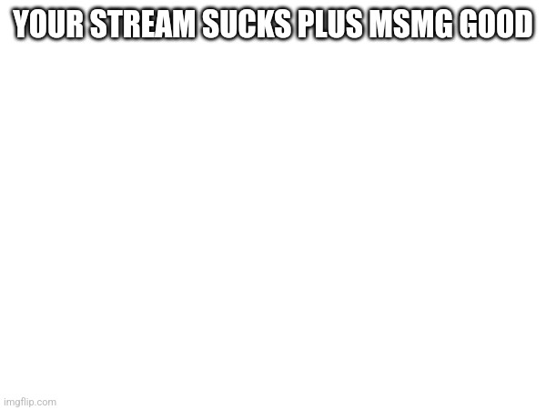 YES MSMG ALLOWED MSMG GOOD SPAM NUH UH STOP SPAMMING NO MSMG IT IS GOOD | YOUR STREAM SUCKS PLUS MSMG GOOD | made w/ Imgflip meme maker